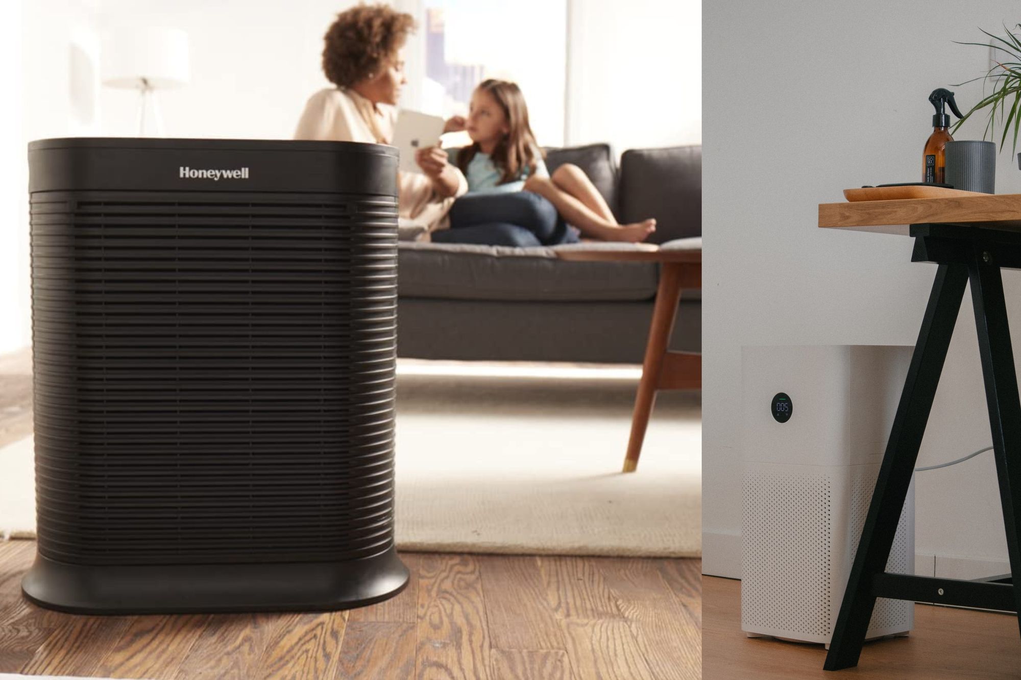 The Best Air Purifier for Your Basement Which One?