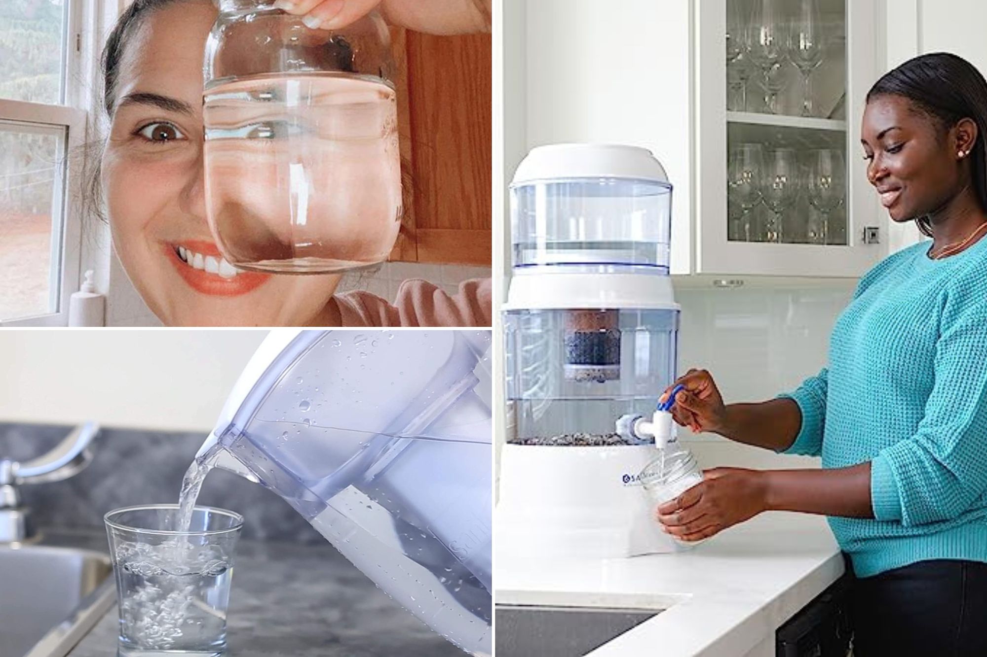 How To Choose The Right Santevia Water Filter For You