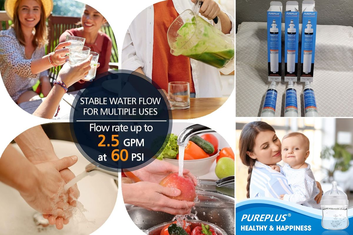 The 5 Best Pure Plus Water Filter Replacements