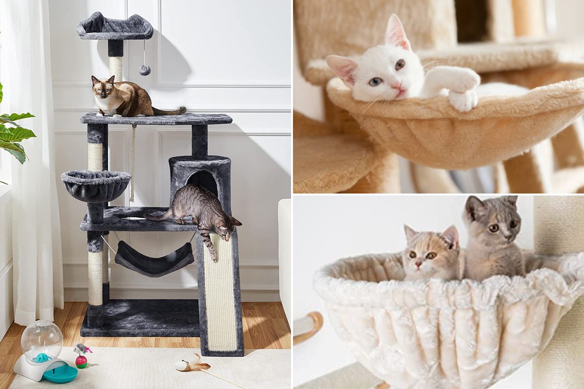 Get The Best Cat Tree with Hammock Our Top 5 Picks!
