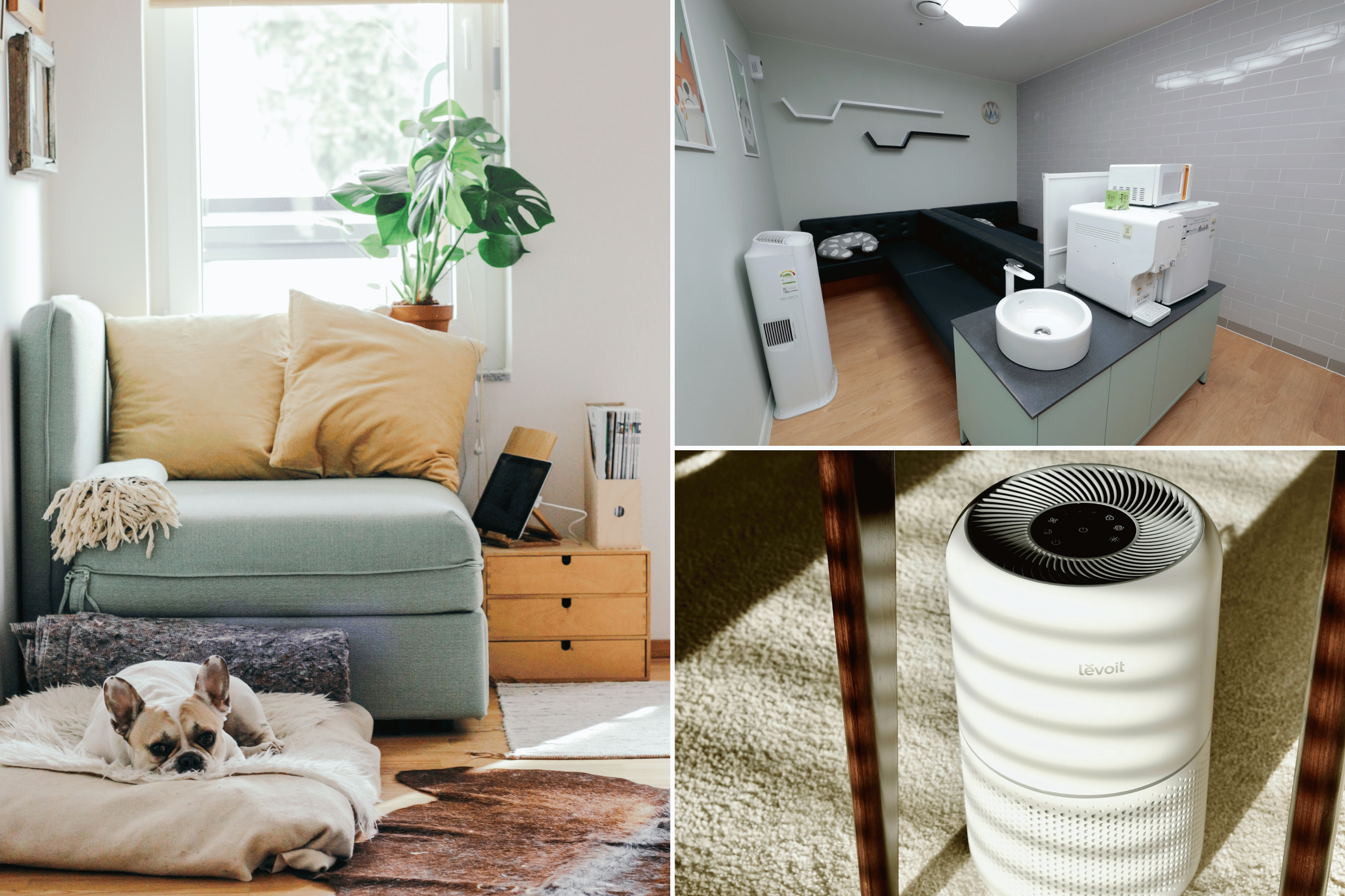 Which Air Purifier with Washable Filter is Best for You?