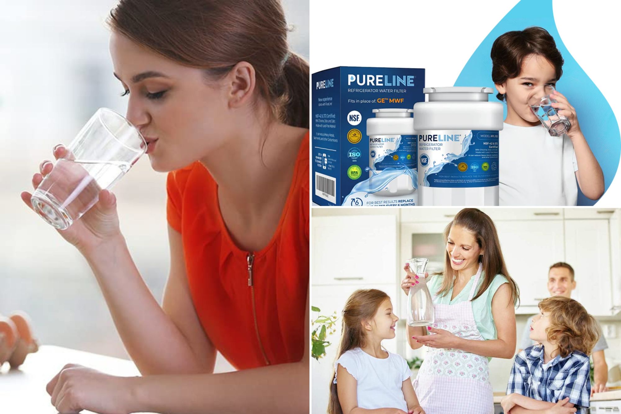 Pureline Water Filter Review: The 5 Best Models Compared